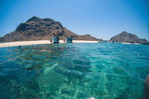 Isole di Komodo: tour in motoscafo 2D1N, tour via terra e soggiorno in hotelIsole Komodo: tour di 1 giorno in barca, tour di 1/2 giorno a terra e albergo