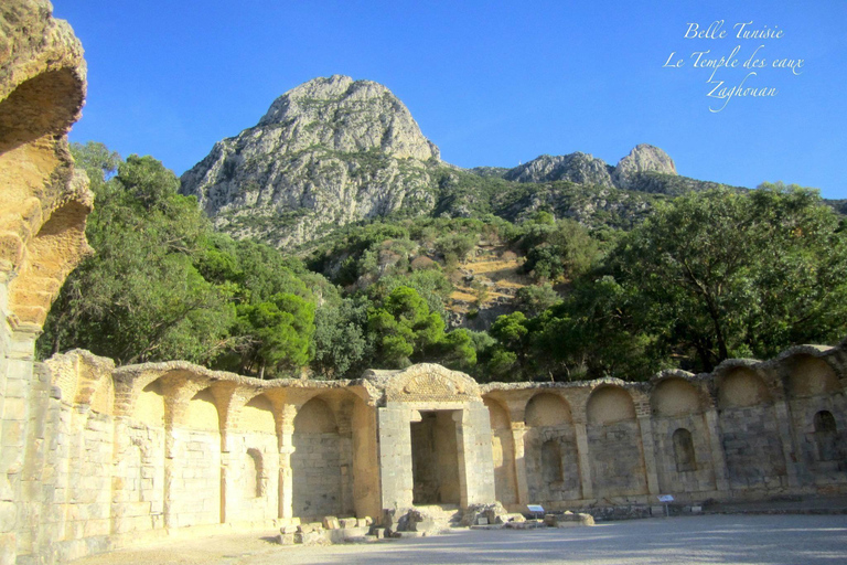 Private Roman Tour: Oudhna, Zaghouan & Thuburbo Majus