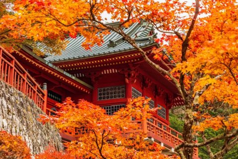 Tokyo: City Full-Day Private Scenic Tour With English Guide