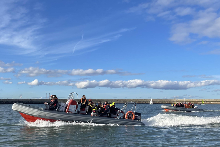 Guided Boat Tour around Dublin Bay
