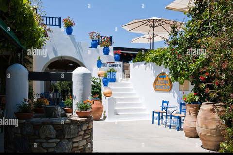 Bodrum-Kos Billet de ferry aller-retour dans la même journée au départ du port du château