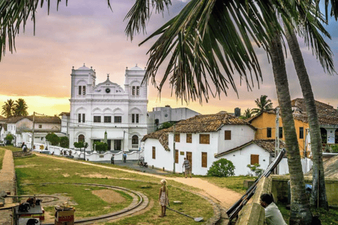 Recorrido rápido de 5 días por Sri Lanka: ¡visite 5 lugares emblemáticos!