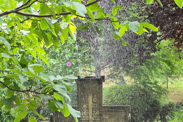 From Belgrade: Lelić & Ćelije 5 - Orthodox Monasteries