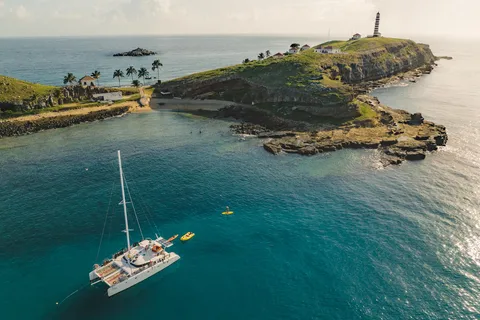 From Rio de Janeiro: 5-Day Bahia and Abrolhos Islands Tour