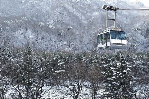 Seoul: Seorak Mountain+Nami Island+Eobi Ice Valley Tour Group Tour, departing from Hongik Univ. Station