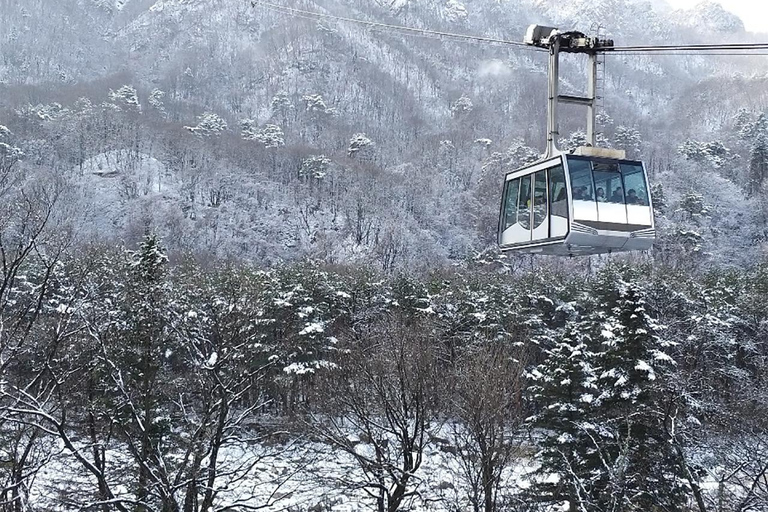 Seoul: Seorak Mountain+Nami Island+Eobi Ice Valley Tour Group Tour, departing from Hongik Univ. Station