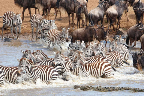 Kenia: 6-tägige Camping-Safari Kleingruppenanmeldung