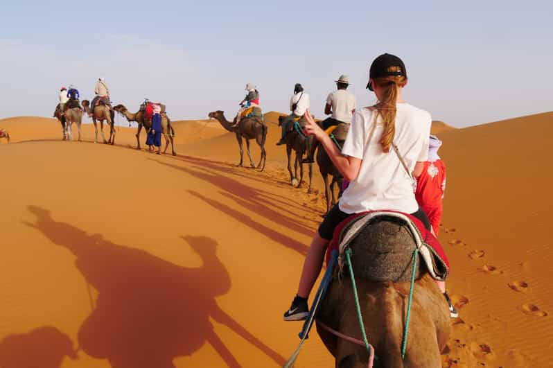 Excursion de 3 jours dans le désert, de Marrakech à Fès - dromadaire