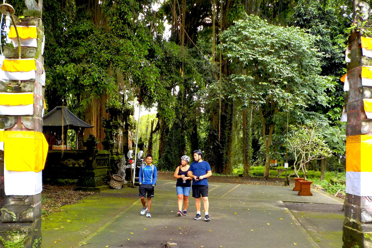 Ubud: Half-Day Tegallalang Electric Cycling Tour
