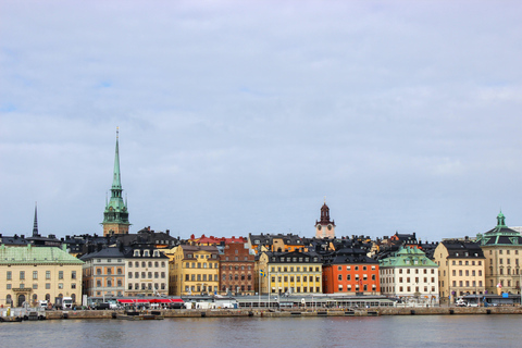 Stockholm : Les incontournables : l'hôtel de ville, la vieille ville et Vasa私人中文导游