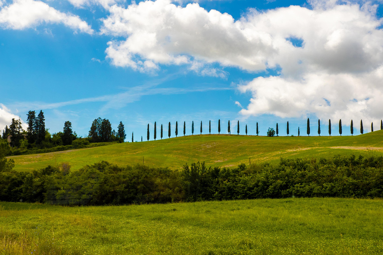 Florence: Monteriggioni & Val d'Orcia Optional Wine Tasting Classic Option in Portuguese