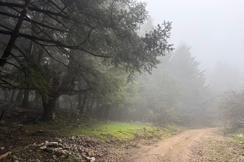 Kefalonia Ainos Premium 4x4 Van Experience