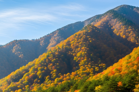 Tokyo: Nikko National Park Private Tour Hotel Pickup & Drop