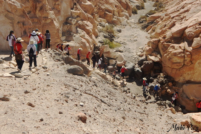 Depuis Arequipa : Randonnée sur la route de Sillar