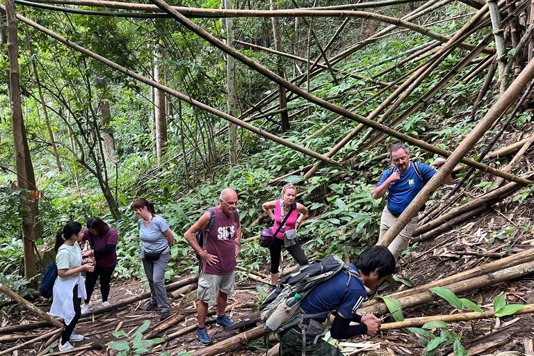 Chiang Rai: Jungle Adventure-Group Trekking & Bamboo Cooking
