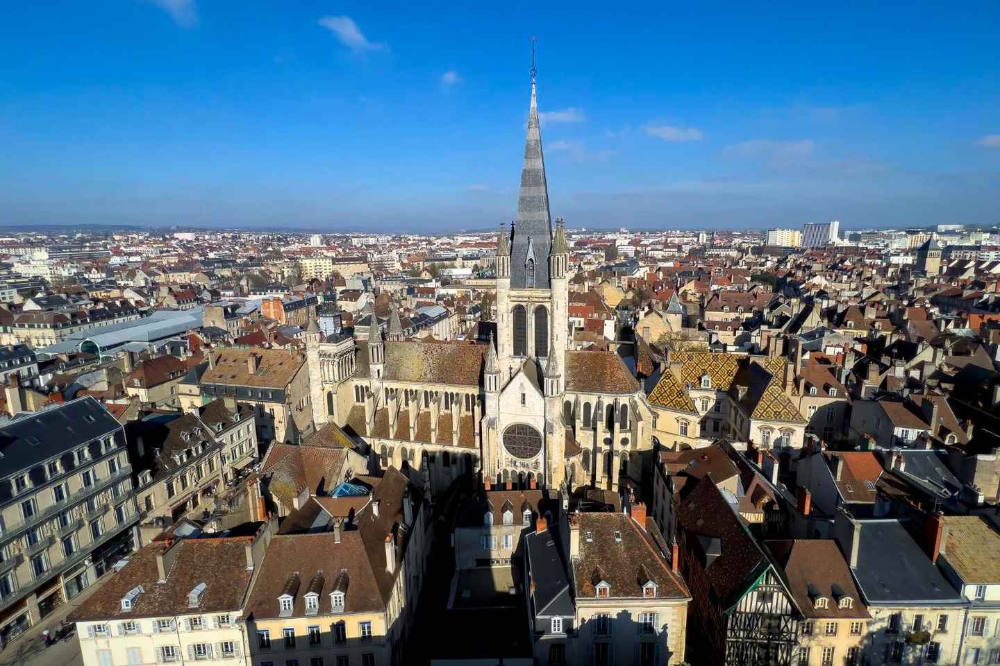Dijon: Express Walk with a Local in 60 minutes