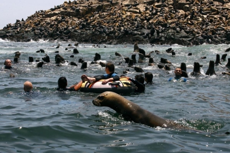 Lima: Wycieczka na wyspę Palomino | Wejście, lwy morskie |