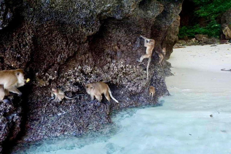 Krabi: Phi Phi Islands Day Trip by Speedboat & Buffet Lunch