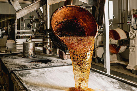 Guided tour of the chocolate factory and tasting in Trèbes Self-guided tour of our workshops