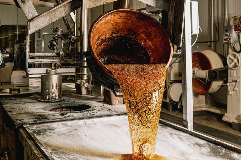 Guided tour of the chocolate factory and tasting in Trèbes Self-guided tour of our workshops