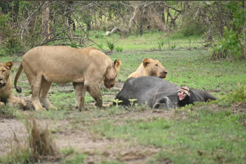 5-Day Wildlife Safari with Kigali City Tour and Lake Kivu.