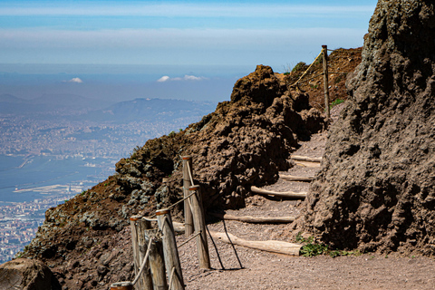 Mount Vesuvius Tour with Skip-the-Line Ticket from Naples