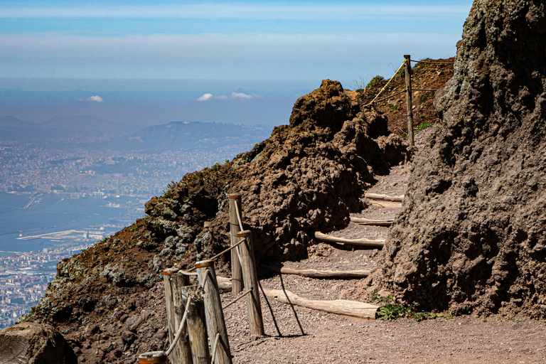 Mount Vesuvius Tour with Skip-the-Line Ticket from Naples