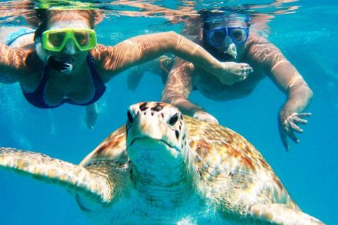 Marsa Alam: Pirates Premium Boat do zatoki żółwi z lunchem