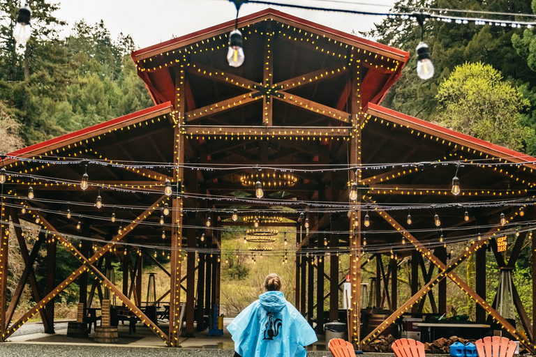 Mendocino County: Pudding Creek Railbikes