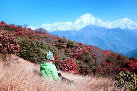 Pokhara: Caminhada de 2 dias em Ghorepani e Poon Hill com vistas do nascer do sol