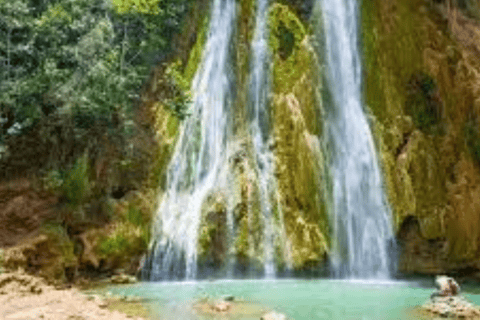 From Punta Cana: Samaná Bay Whale Watching & Waterfall Tour