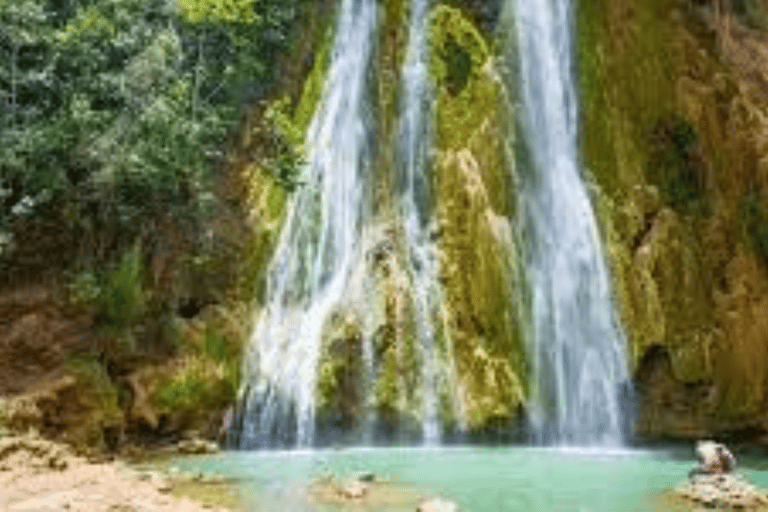 From Punta Cana: Samaná Bay Whale Watching & Waterfall Tour