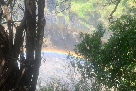 Victoria Falls lmmersive Guided Experience.