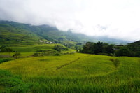 Viaje de SAPA a cascadas, trekking y Tribal Villages Tour - Housity