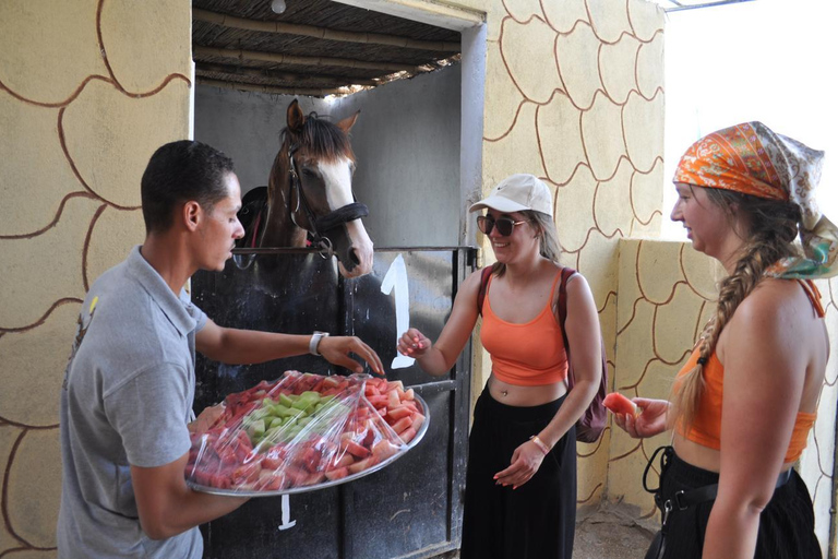 Hurghada: Camel Ride & horse ride and Off-Road Jeep Tour pickup from hotels inside hurghada