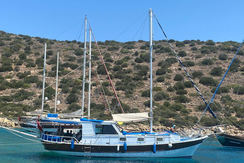 Bodrum: Private Bootstour mit Schnorcheln und Mittagessen