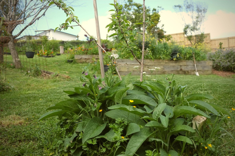 Extravagância privada de jardins e esculturas em AucklandO melhor jardim e escultura extravagante de Auckland!