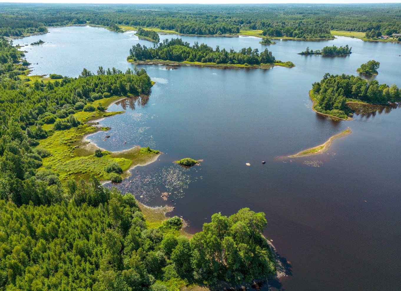 Agunnaryd: Leje af kajak med redningsvest og pagaj