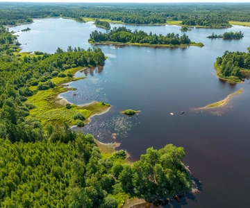 Agunnaryd: Kayak Rental with Life Jacket & Paddle