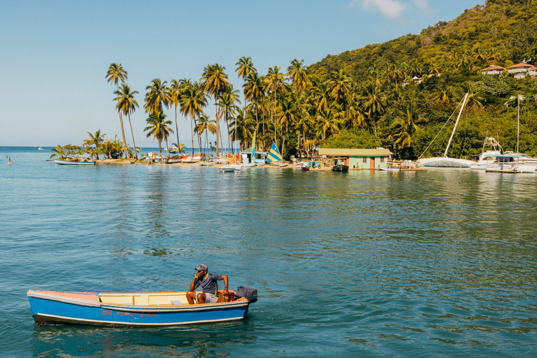 Punta Cana: Private Catalina Island Snorkeling Trip with