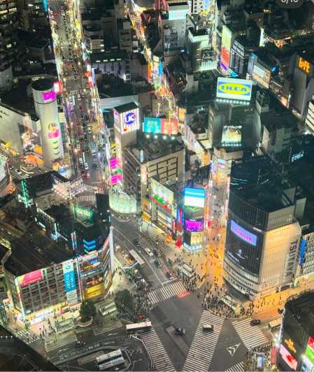 Tokyo linn: Tokio: päevane ekskursioon