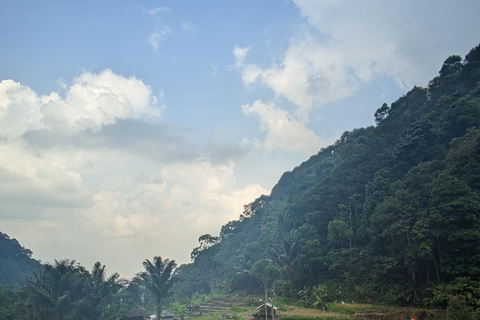 Bandung Countryside Tour: Waterfall, Rice Fields &amp; Culture