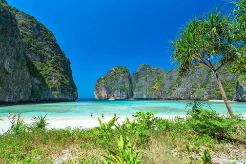 Phuket: Viagem de 1 dia de luxo às Ilhas Phi Phi