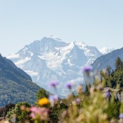 Depuis Zurich : journée guidée au Jungfraujoch en train