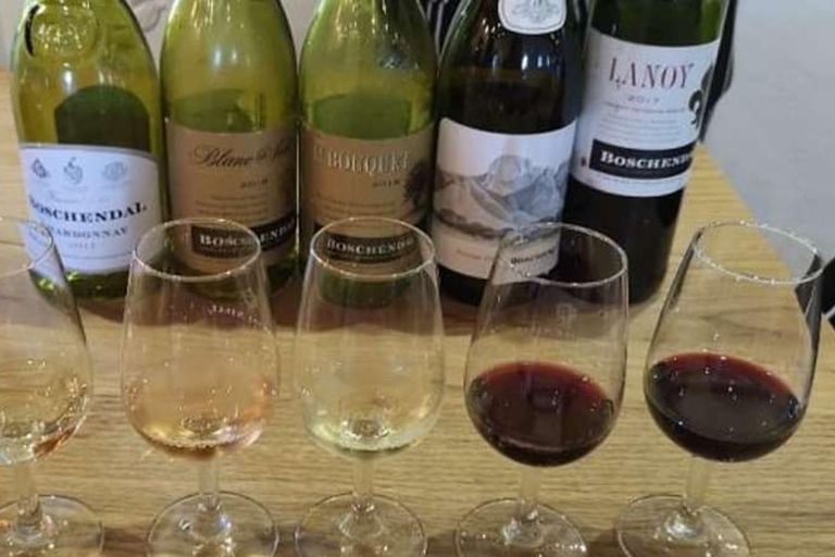 Città del Capo: Tour del tram del vino di Franschhoek con degustazioni