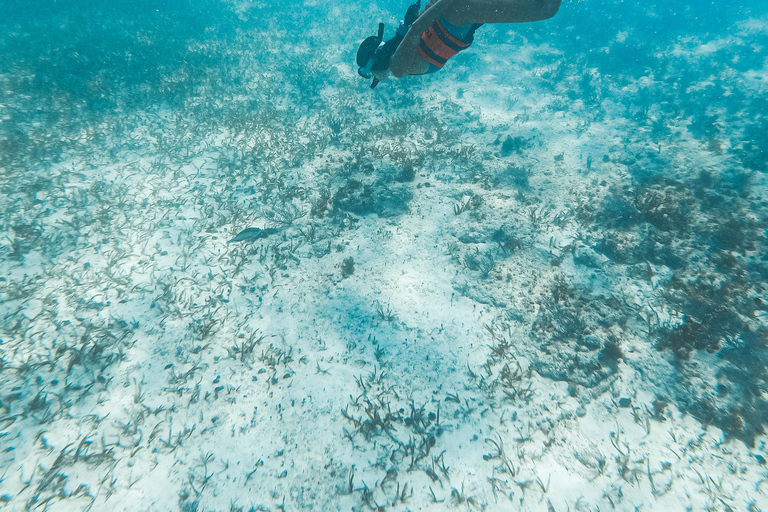 Catamarano Deluxe per isla mujeres al miglior prezzo