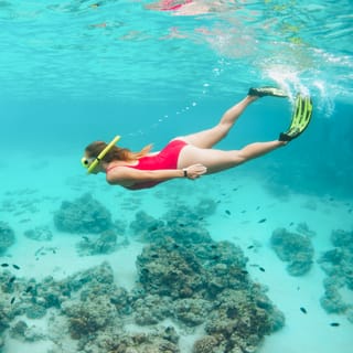 Oahu: Eco-Friendly West Oahu Snorkel Sail with Dolphins