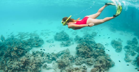Ko Olina: Turtles, Dolphins, and Snorkeling Tour with Lunch