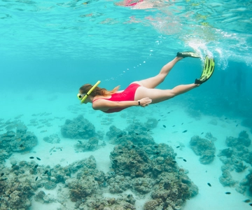 West Oahu: Turtles, Dolphins, and Snorkeling Tour with Lunch