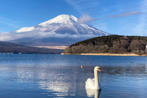 Tokyo: Mt. Fuji & Lake Kawaguchi Small Group Tour - 6 Spots Hotel Pickup Option